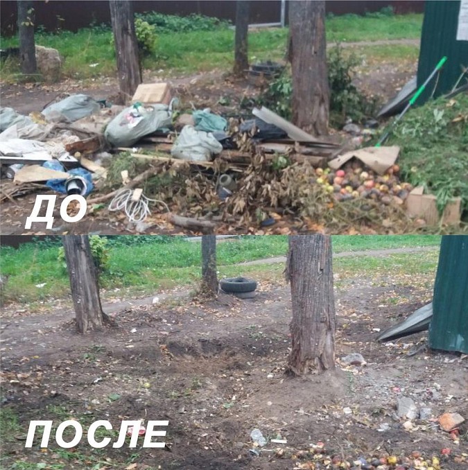 С улиц Кинешмы вывезено 883 кубических метра веток и мусора фото 5