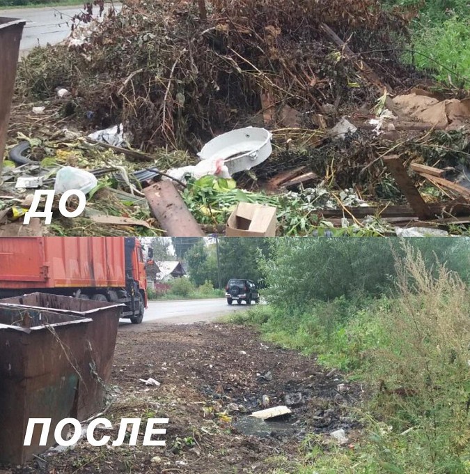 С улиц Кинешмы вывезено 883 кубических метра веток и мусора фото 4