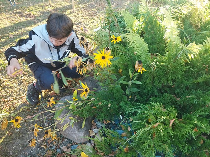 В кинешемском детском доме прошёл осенний трудовой десант фото 5