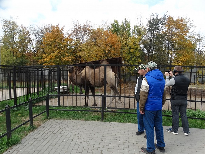 Проживающие в Кинешемском доме-интернате посетили ивановский зоопарк фото 3