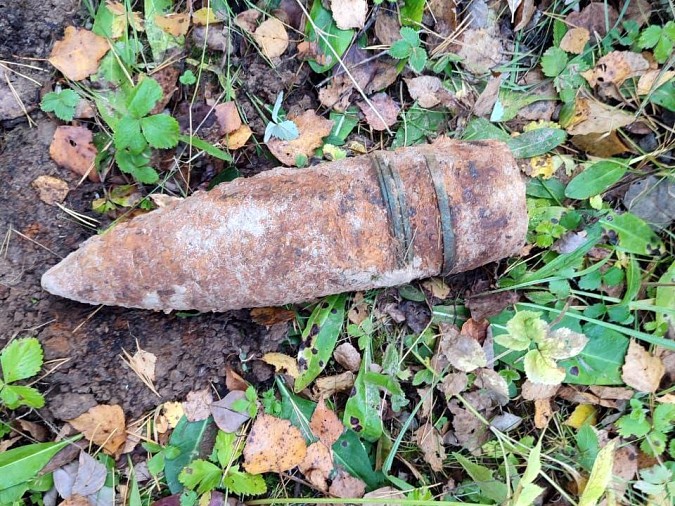 В Ивановской области грибник нашёл 76 мм артиллерийский снаряд фото 2