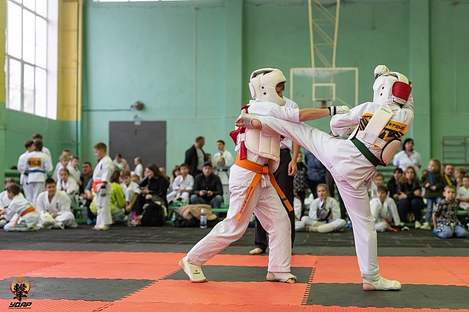 В Кинешме состоялся турнир по киокусинкай памяти воеводы Ф.Боборыкина фото 3