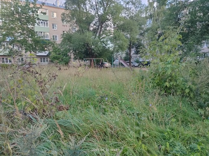 На «Автоагрегате» планируют установить еще одну детскую площадку фото 3