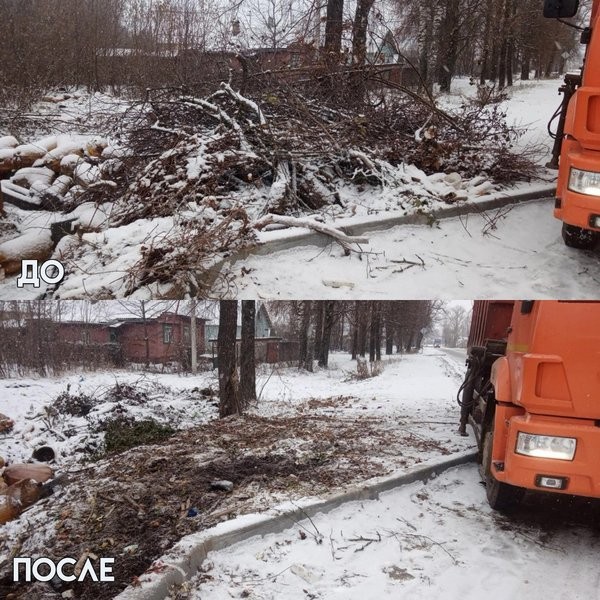 Штрафы не останавливают: кинешемские свалки завалены ветками и строительным мусором фото 2