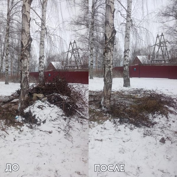 Штрафы не останавливают: кинешемские свалки завалены ветками и строительным мусором фото 5