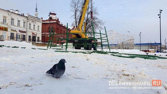 В центре Кинешмы устанавливают главную новогоднюю елку фото 4