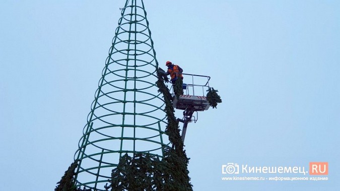 В Кинешме завершается установка главной новогодней елки фото 3