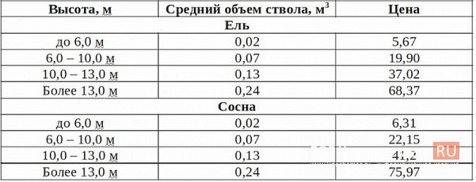 В Кинешемском лесничестве открылись продажи новогодних ёлок фото 2