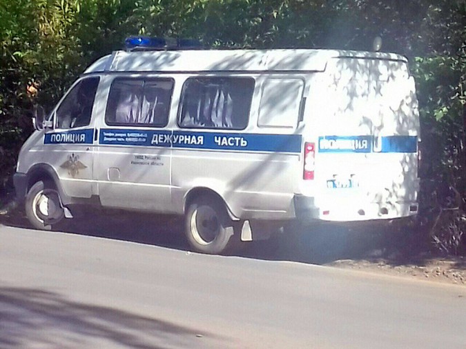 Похищенная в Ивановской области 2-летняя девочка найдена убитой фото 4