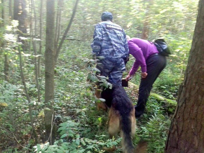 Похищенная в Ивановской области 2-летняя девочка найдена убитой фото 3