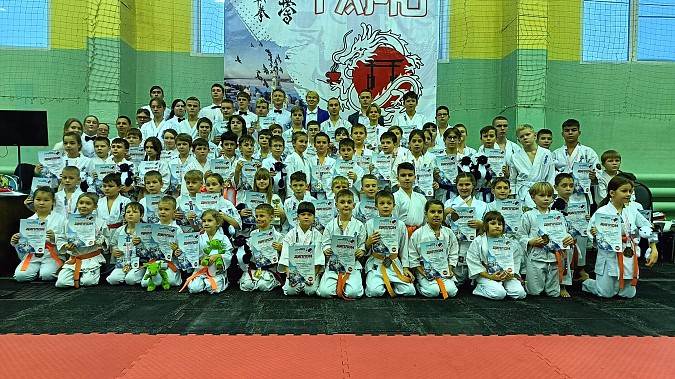 В Кинешме состоялся турнир по каратэ Кёкусин Кенбукай фото 11