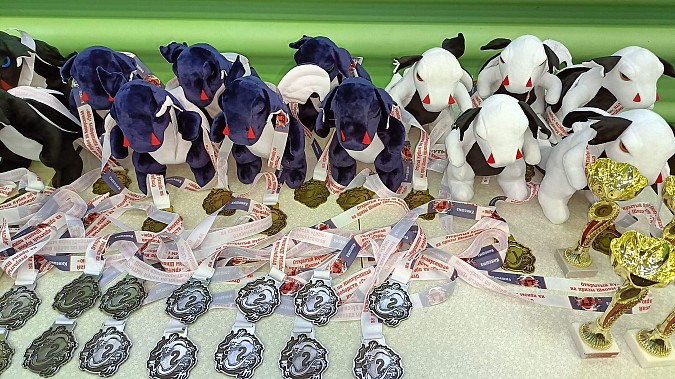 В Кинешме состоялся турнир по каратэ Кёкусин Кенбукай фото 4