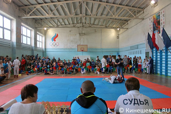 В Кинешме прошли соревнования по спортивным единоборствам фото 26