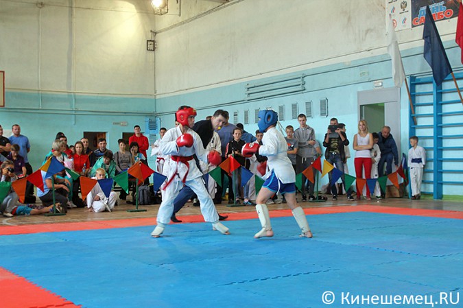 В Кинешме прошли соревнования по спортивным единоборствам фото 24