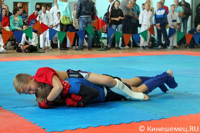 В Кинешме прошли соревнования по спортивным единоборствам фото 16