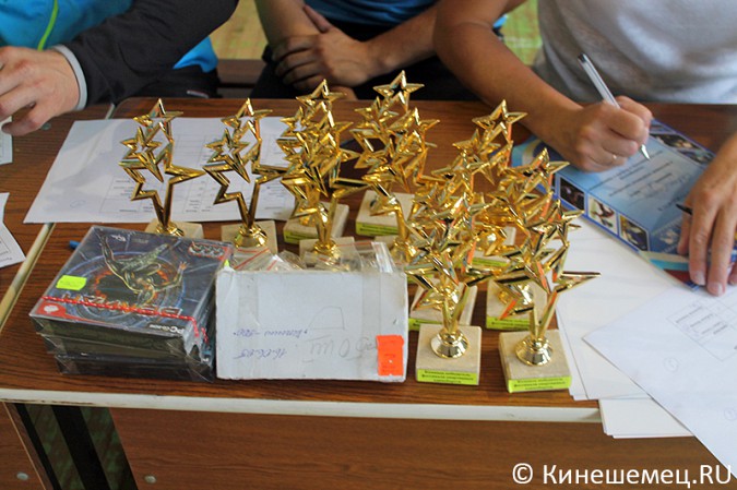 В Кинешме прошли соревнования по спортивным единоборствам фото 12