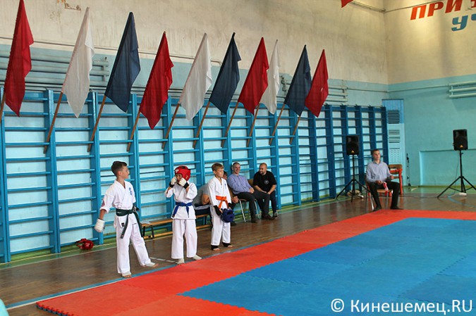 В Кинешме прошли соревнования по спортивным единоборствам фото 2