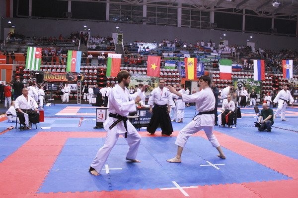 Кинешемец Рафаэль Саргсян победил на Кубке мира по фудокан каратэ-до фото 4