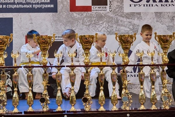 Кинешемец Рафаэль Саргсян победил на Кубке мира по фудокан каратэ-до фото 7
