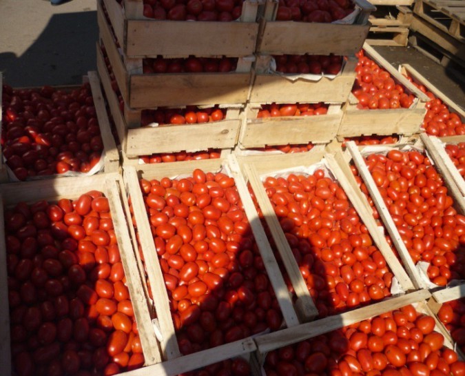 В Ивановской области незаконно торговали овощами и фруктами фото 2