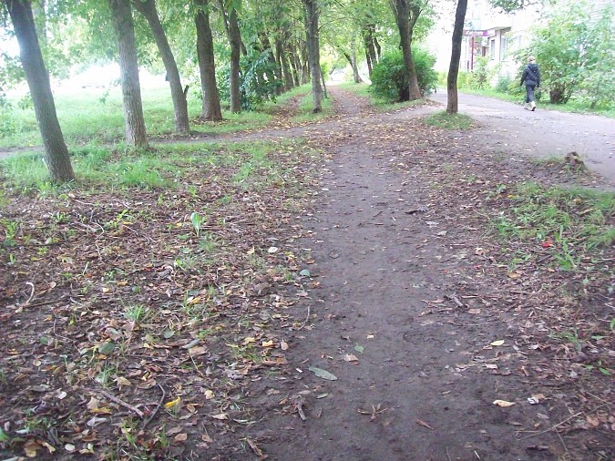 На части улицы Щорса в Кинешме «Мусора.Больше.Нет» фото 4