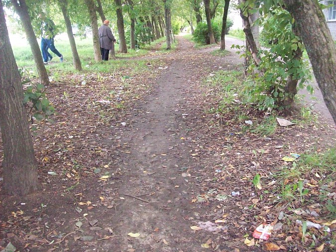 На части улицы Щорса в Кинешме «Мусора.Больше.Нет» фото 3