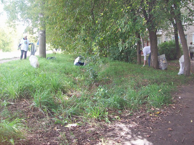 На части улицы Щорса в Кинешме «Мусора.Больше.Нет» фото 5