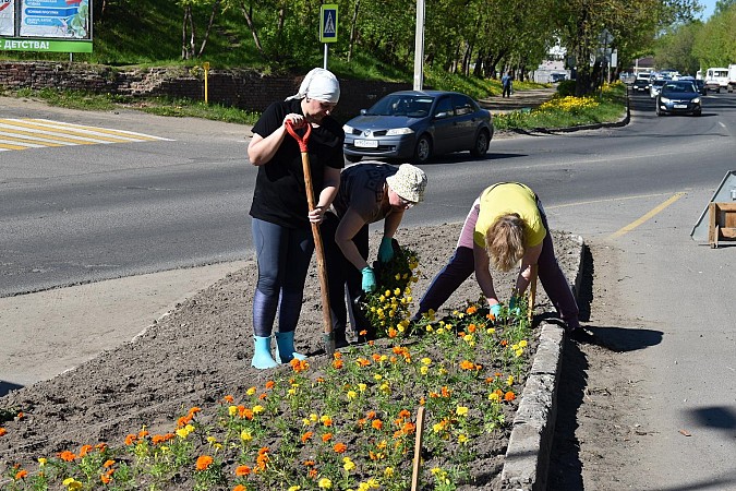 Цветов на кинешемских клумбах высадят несколько меньше обычного фото 6