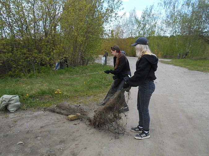 Активисты очистили от мусора берег реки Кинешемки фото 5
