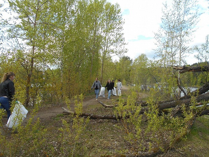 Активисты очистили от мусора берег реки Кинешемки фото 3