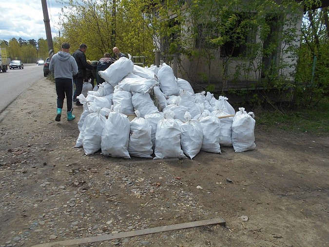 Активисты очистили от мусора берег реки Кинешемки фото 10
