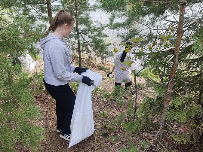 Активисты очистили от мусора берег реки Кинешемки фото 2