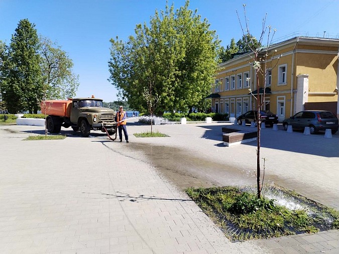 В Кинешме ежедневно поливают 17 тысяч цветов фото 3