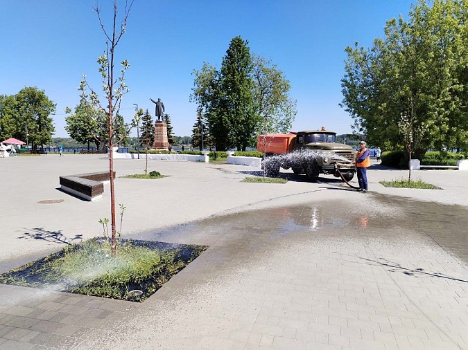 В Кинешме ежедневно поливают 17 тысяч цветов фото 4