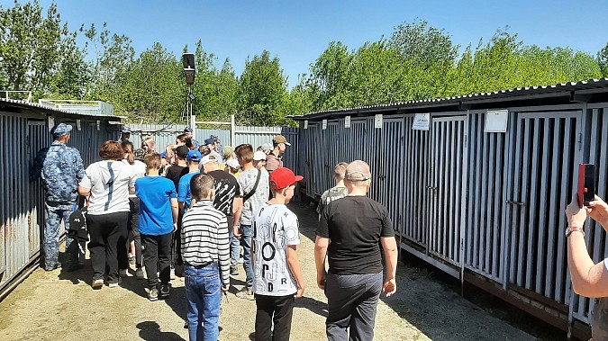 Кинологи кинешемской ИК-3 показали ученикам школ №2 и №6 свою работу фото 3