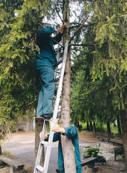 Заволжские пожарные спасли птенца фото 3