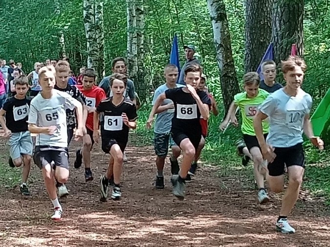 В Кинешме состоялось первенство города по кроссовому бегу фото 6
