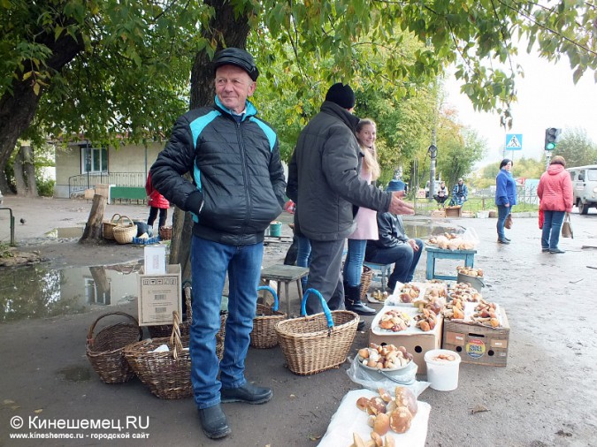В Ивановской области в разгаре массовая «грибная охота» фото 6