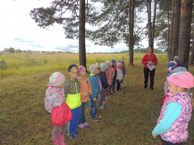 Кинешемский детский сад №10 организовал турслёт для своих воспитанников фото 2