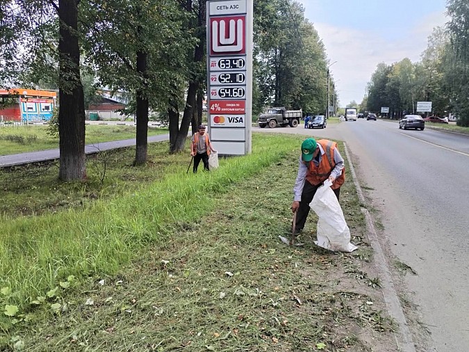 Накануне 1 сентября в Кинешме обновляют разметку на пешеходных переходах фото 3