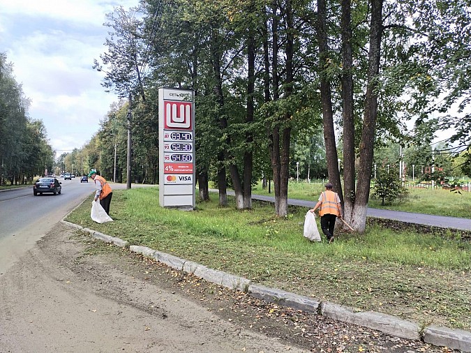 Накануне 1 сентября в Кинешме обновляют разметку на пешеходных переходах фото 6