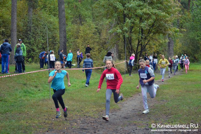 Школьники Кинешмы пробежали традиционный осенний кросс фото 33