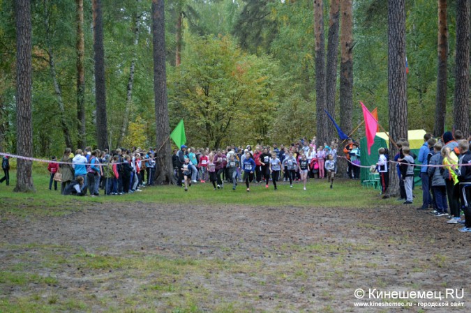 Школьники Кинешмы пробежали традиционный осенний кросс фото 11