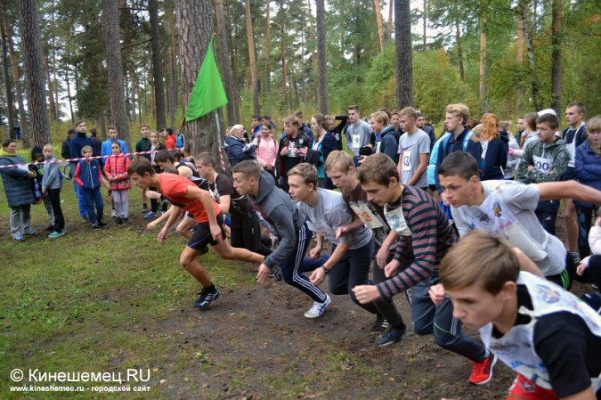 Школьники Кинешмы пробежали традиционный осенний кросс фото 76