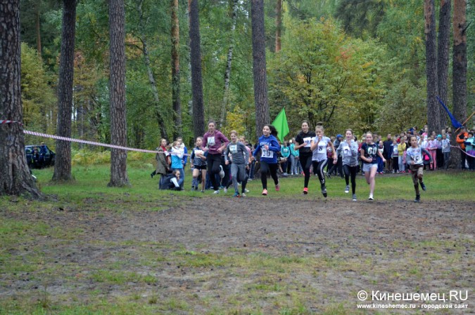 Школьники Кинешмы пробежали традиционный осенний кросс фото 12