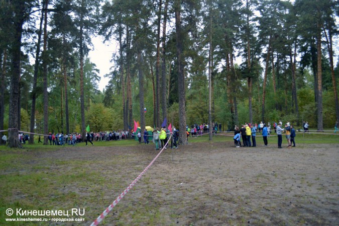 Школьники Кинешмы пробежали традиционный осенний кросс фото 10