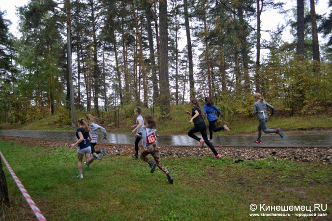 Школьники Кинешмы пробежали традиционный осенний кросс фото 13