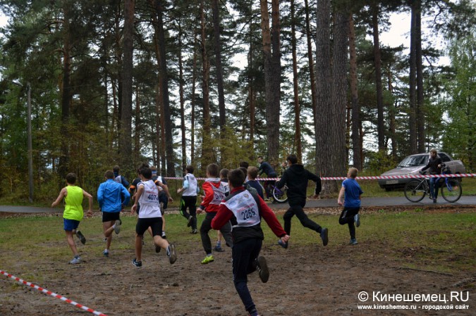 Школьники Кинешмы пробежали традиционный осенний кросс фото 84