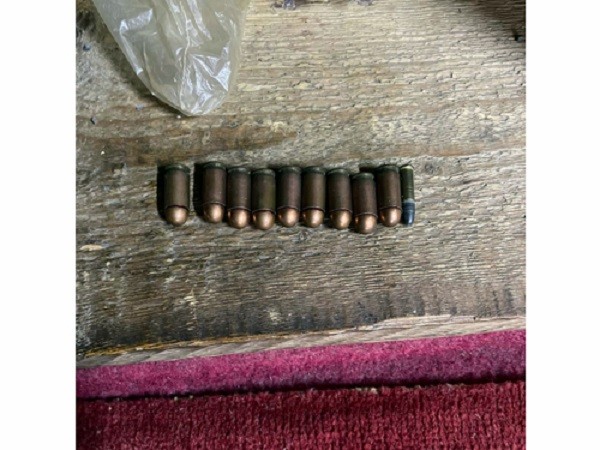 В Ивановской области мужчина нашел в пруду патроны и хранил их дома фото 2