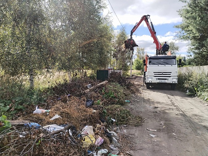 Мусор на улицах Кинешмы увеличивается в геометрической прогрессии фото 2